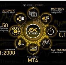 Exness Reward Profitable Chance For Traders